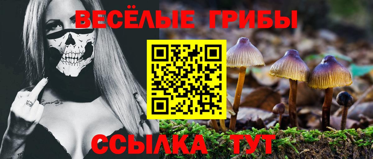 Кубинка  Галлюциногенные грибы Magic Shrooms  Псилоцибиновые грибы мухоморы  Вход с VPN 